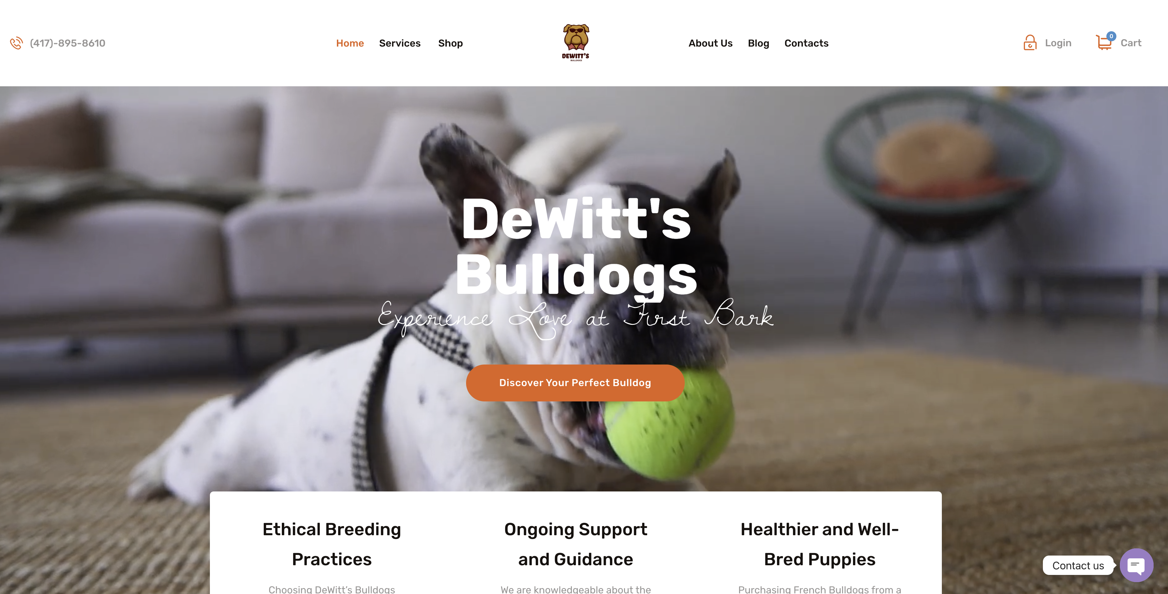 Dewitt Bulldogs website