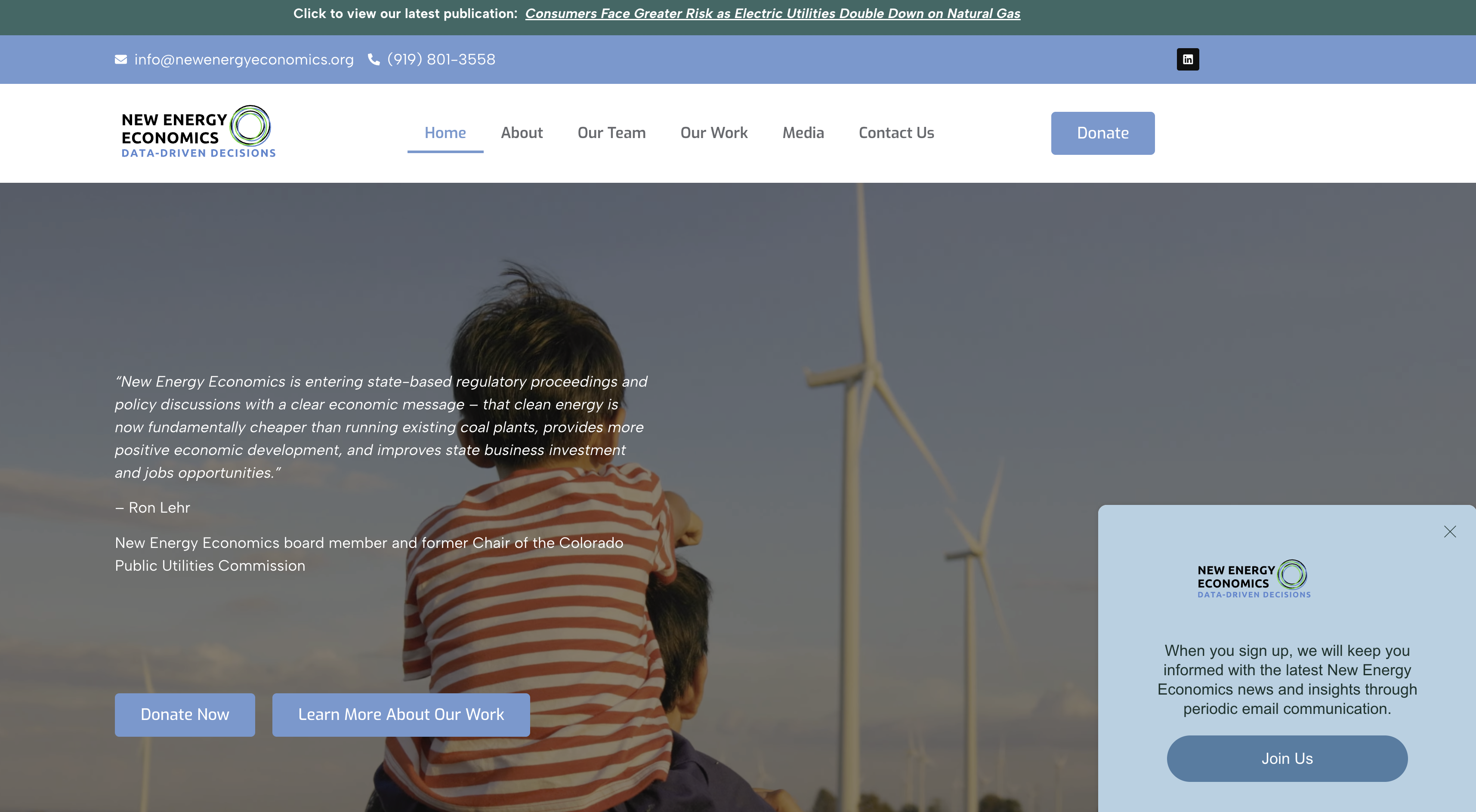 New Energy Economics website