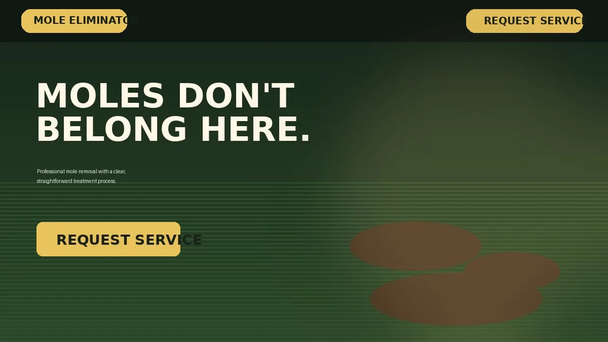 Screenshot of Mole Eliminator website